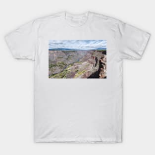 Chawalauna Overlook in Wild Rivers Recreation New Mexico T-Shirt